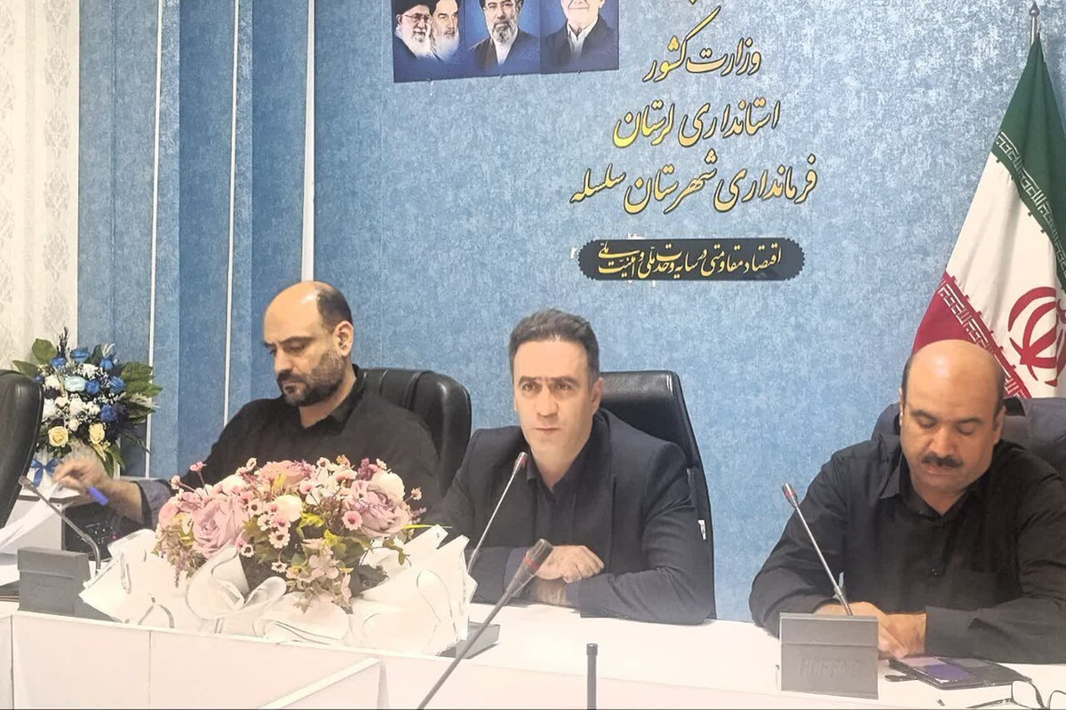 تعیین تکلیف طرح هادی و محدوده ۶۱ روستای سلسله در دستور کار است