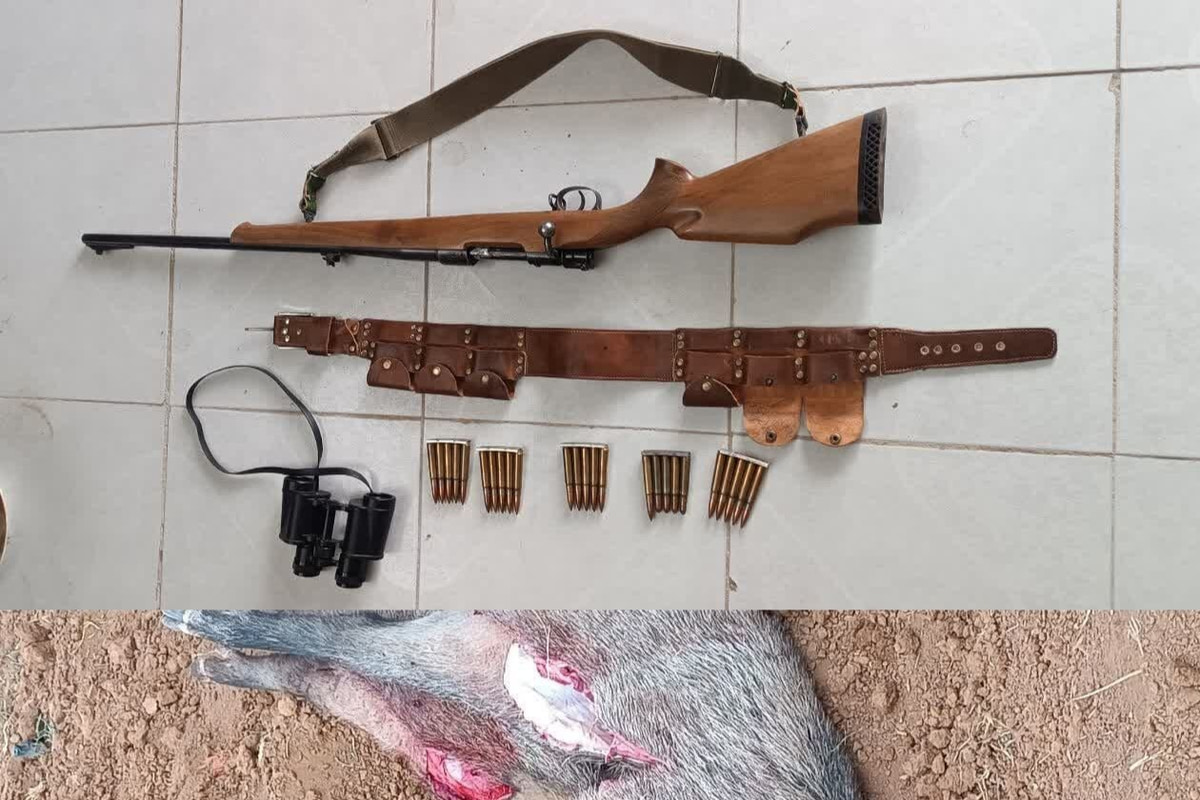 دستگیری شکارچیان متخلف در پناهگاه حیات وحش راسوند؛ کشف لاشه ۲ رأس گراز