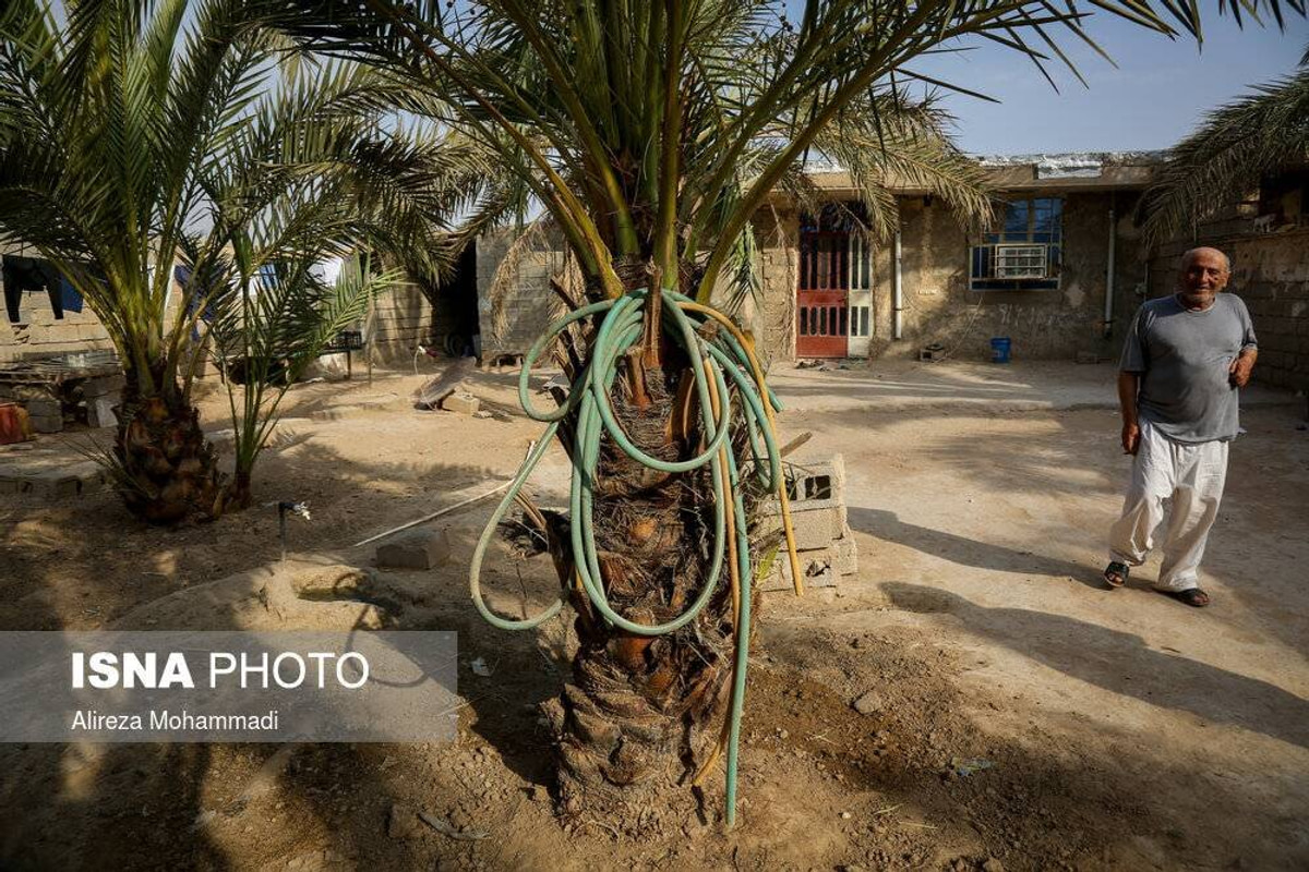 «مبیطیحه»؛ از برقکشی تا انتظار مدرسه و بهداشت