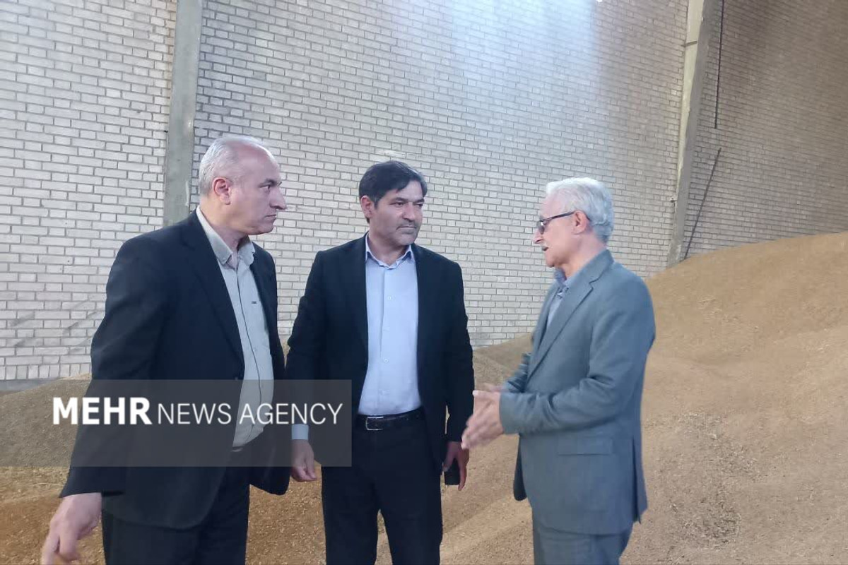 نمین در مسیر جهش کشاورزی؛ از افزایش تولید گندم تا کاشت کاملینا