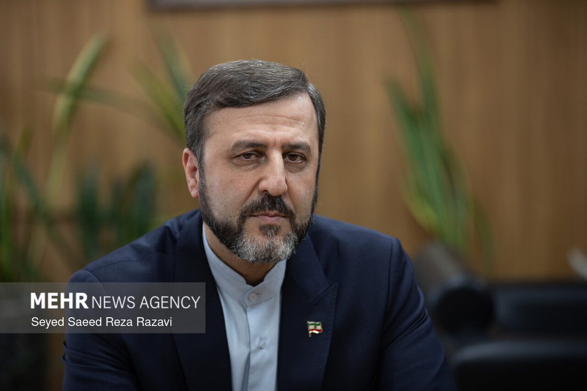 واکنش غریب‌آبادی به وعده آمریکا برای اقدام علیه دیوان بین‌المللی