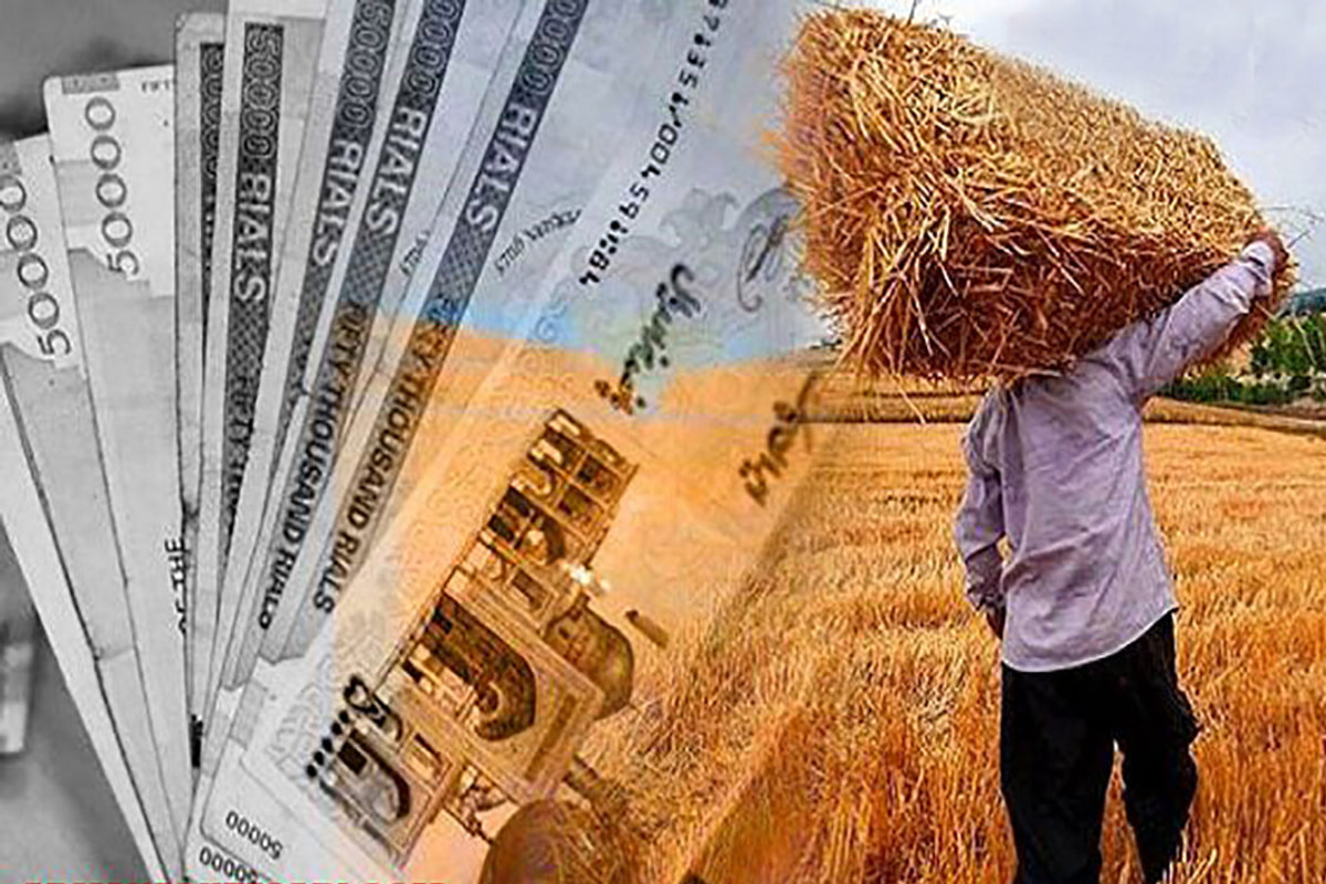 پرداخت ۱۷ همت دیگر به گندم‌کاران/ مجموع مطالبات پرداخت‌شده به ۱۱۰.۱ همت رسید