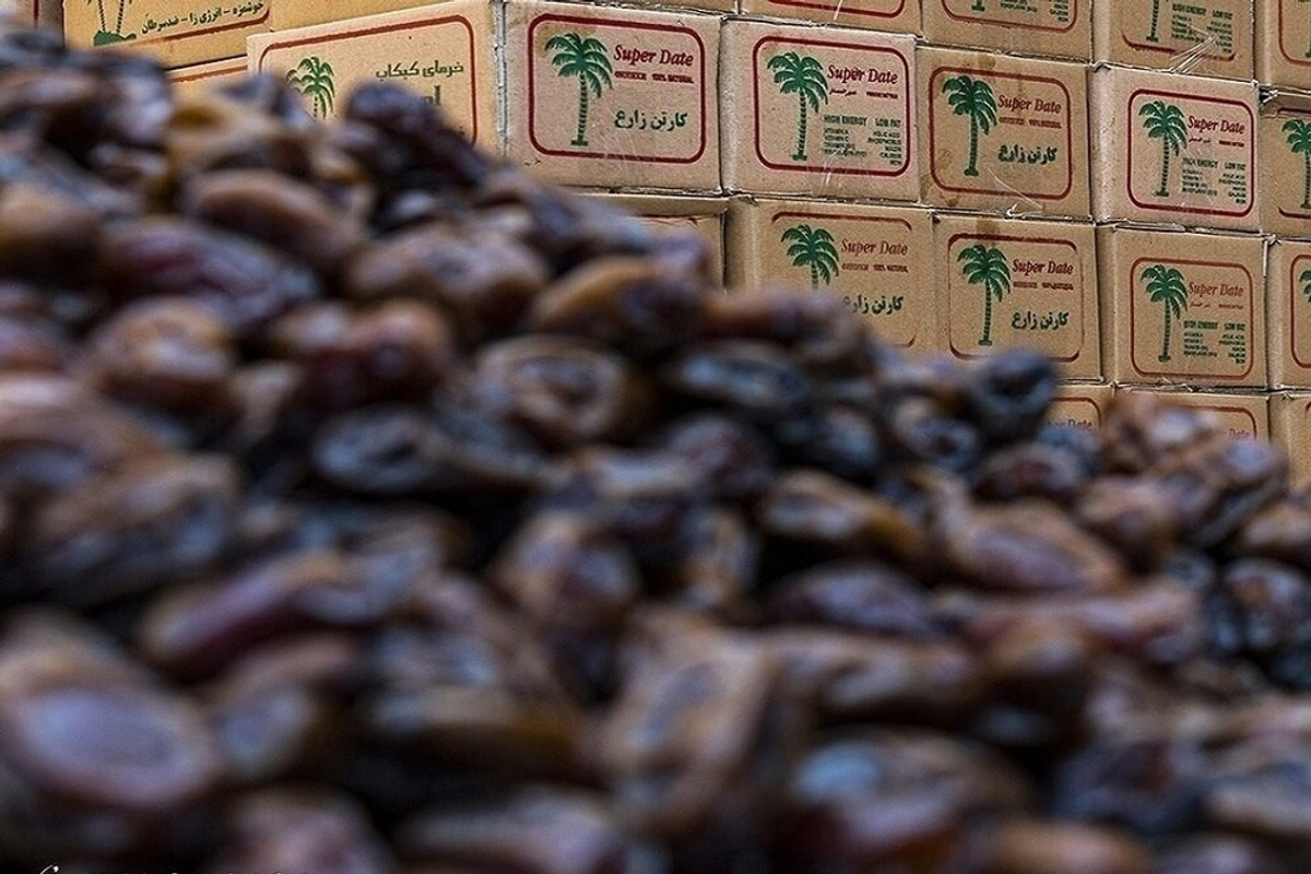 یک اتفاق مهم در بازار خرما / قیمت هر کیلو مضافتی به ۲۴۰ هزار تومان رسید